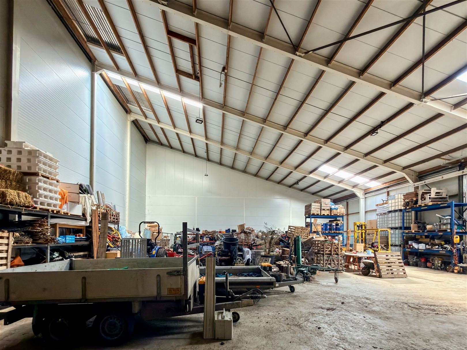 Enorm ruim magazijn met natuurlijke lichtinval! - foto 4