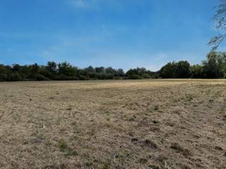 Te koop: landbouwgrond van 11.500 m² in SchriekOp zoek naar een mooie landbouwgrond op een rustige locatie? Deze ruime perceel van 11.500 m² bevindt...