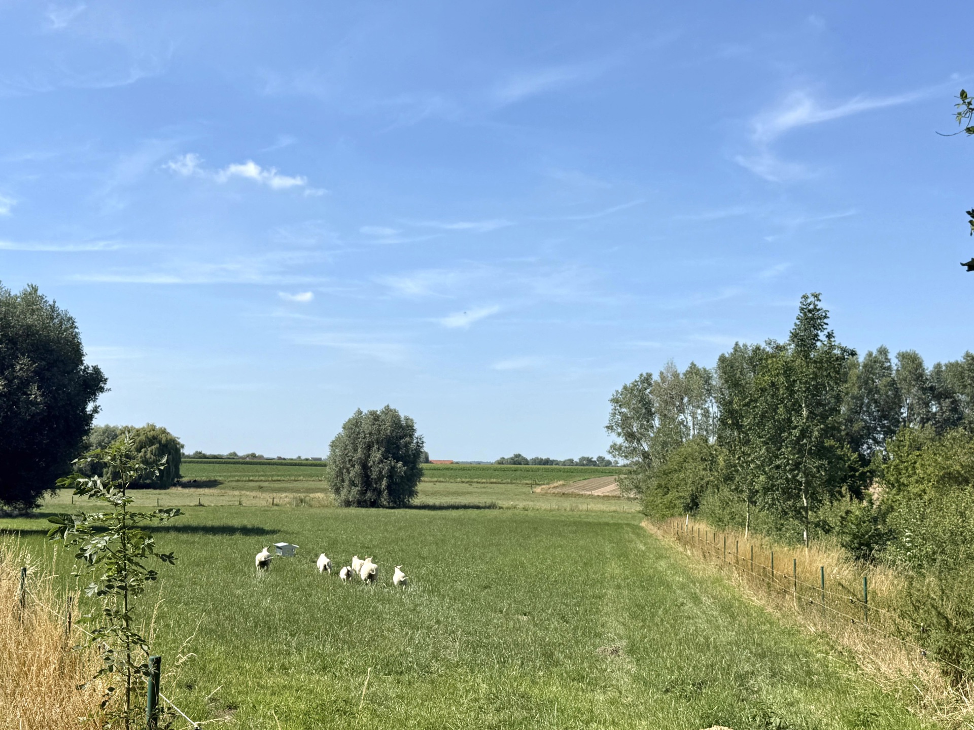 House for sale in Hooglede with 4 bedrooms - photo 4