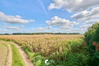 <p>Mooi stuk landbouwgrond gelegen achter de Eindhovensebaan. <br /><br />Dit stuk landbouwgrond van 1,6 ha groot is gelegen net achter de Eindhovensebaan, Het stuk is zeer makkelijk bereikbaar via een servitudeweg tussen Eindhovensebaan nummer 36 en 38. Zoals je kunt zien op de kadastrale intekening is het stuk mooi rechthoekig en momenteel geoogst met mais.</p>