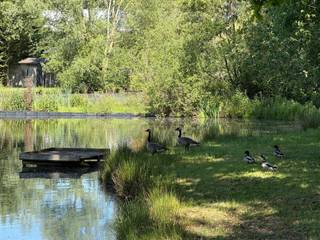 <p><span>Een idyllisch kader voor mensen die houden van groen, natuur en rust.</span></p><p><span>De chalet is gelegen in natuurgebied en heeft een totale bewoonbare oppervlakte van 90m².  Geen centrale verwarming, wel een houtkachel aanwezig. </span></p><p><span>Indeling: eetkamer, keuken, slaapkamer, sanitair, berging.</span></p><p><span> </span></p><p><span>Contacteer ons kantoor Dupont Vastgoed voor meer inlichtingen of een bezoek ter plaatse op 015 15 15 15.</span></p><p><span> </span></p>