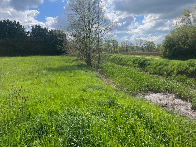 BETEKOM - Drie ruime bouwgronden voor OB, vlak bij het centrum - foto 4