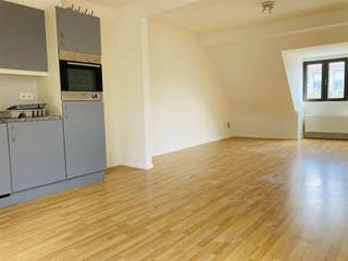 Bel appartement/duplex au 4ème et dernier étage d'une maison de maître. Hall d'entrée avec espace de rangement et WC séparé. Grand séjour...