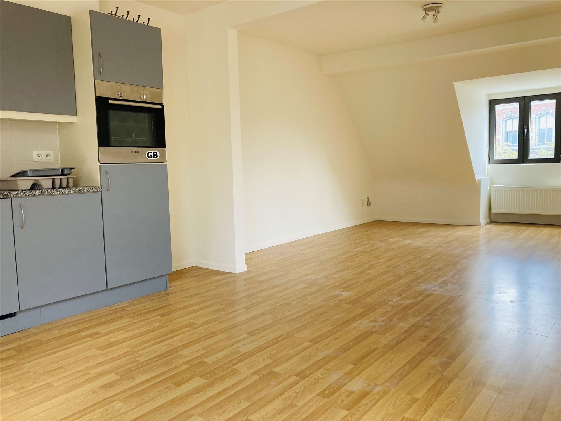 Bel appartement/duplex 1CH - Quartier Dailly - photo 2