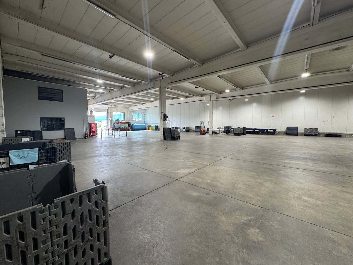 Te huur:1.350 m² magazijn + 245 m² kantoorruimte te Oostende - foto 5