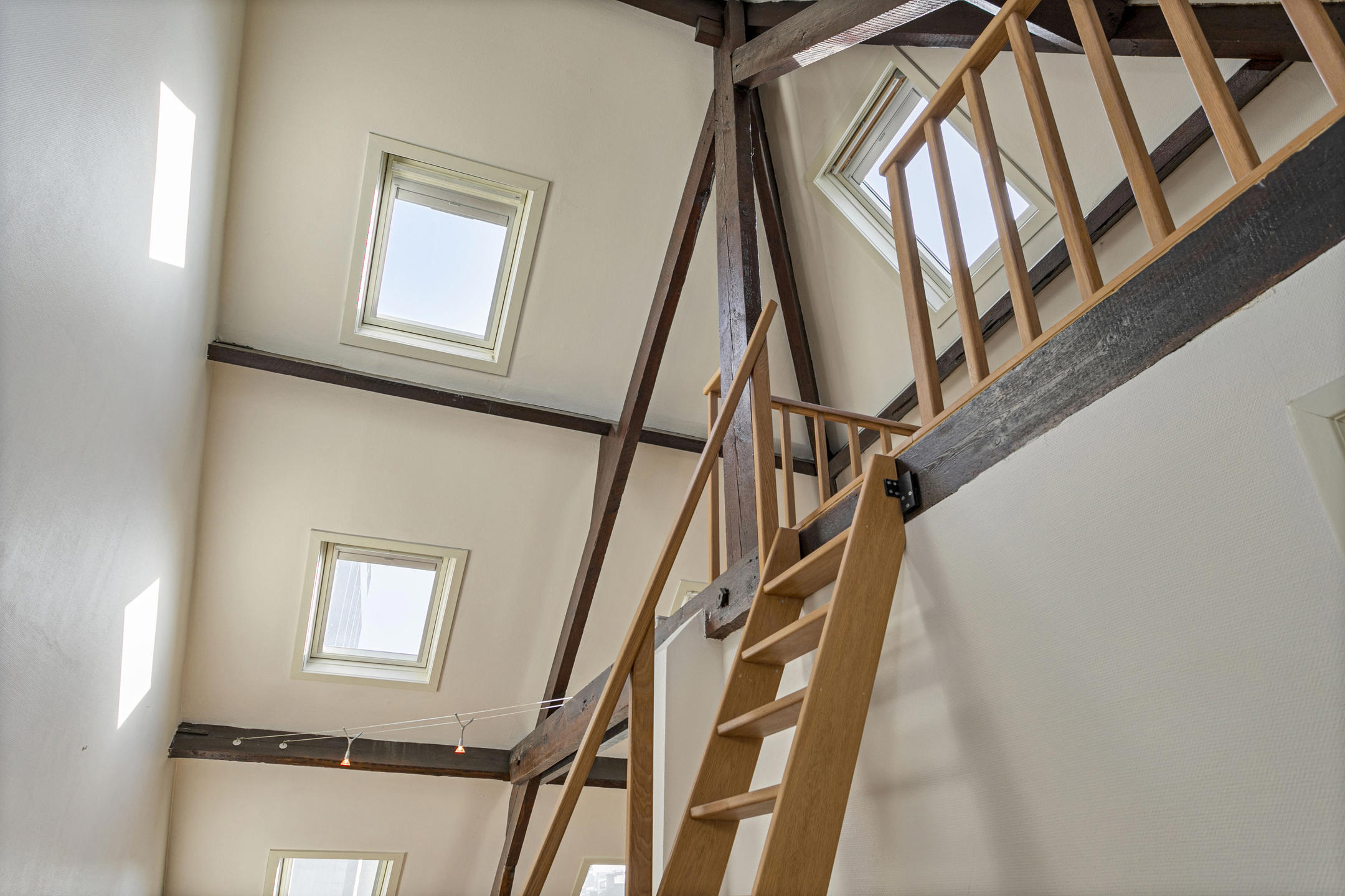 Apartment for rent in Antwerp with 1 bedroom - photo 5