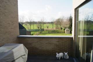 Modern energiezuinig appartement met 2 slaapkamers en groot terras met landelijk zicht, eigen autostaanplaats.Indeling: inkomhal met (gasten)toilet,...