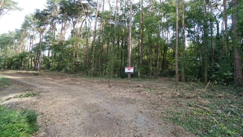 Residentieel gelegen bouwgrond van 31 are met 37 are bosgrond nabij golf- en meerdomein - foto 2