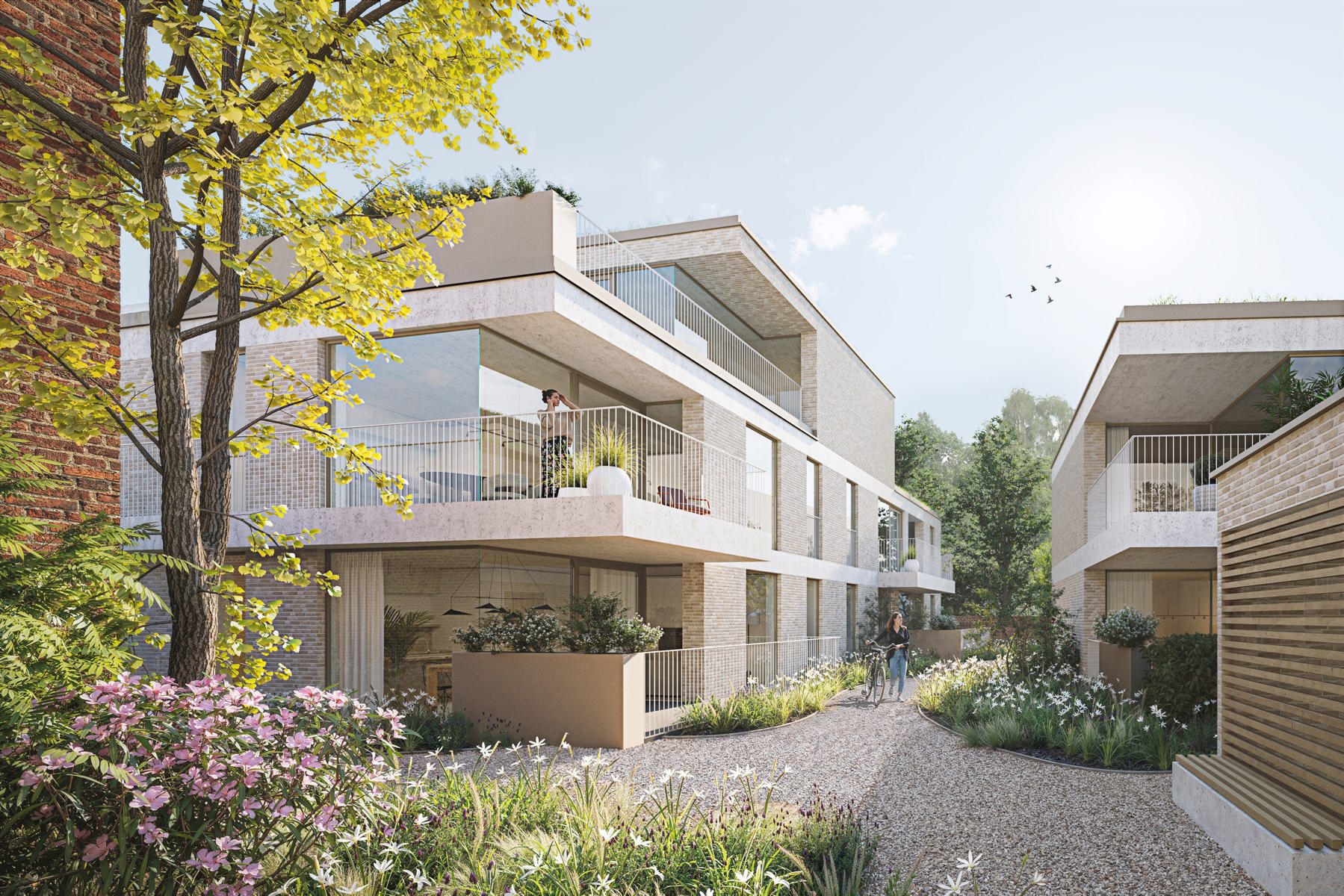 Appartement te koop in Maaseik met 1 slaapkamer - foto 3