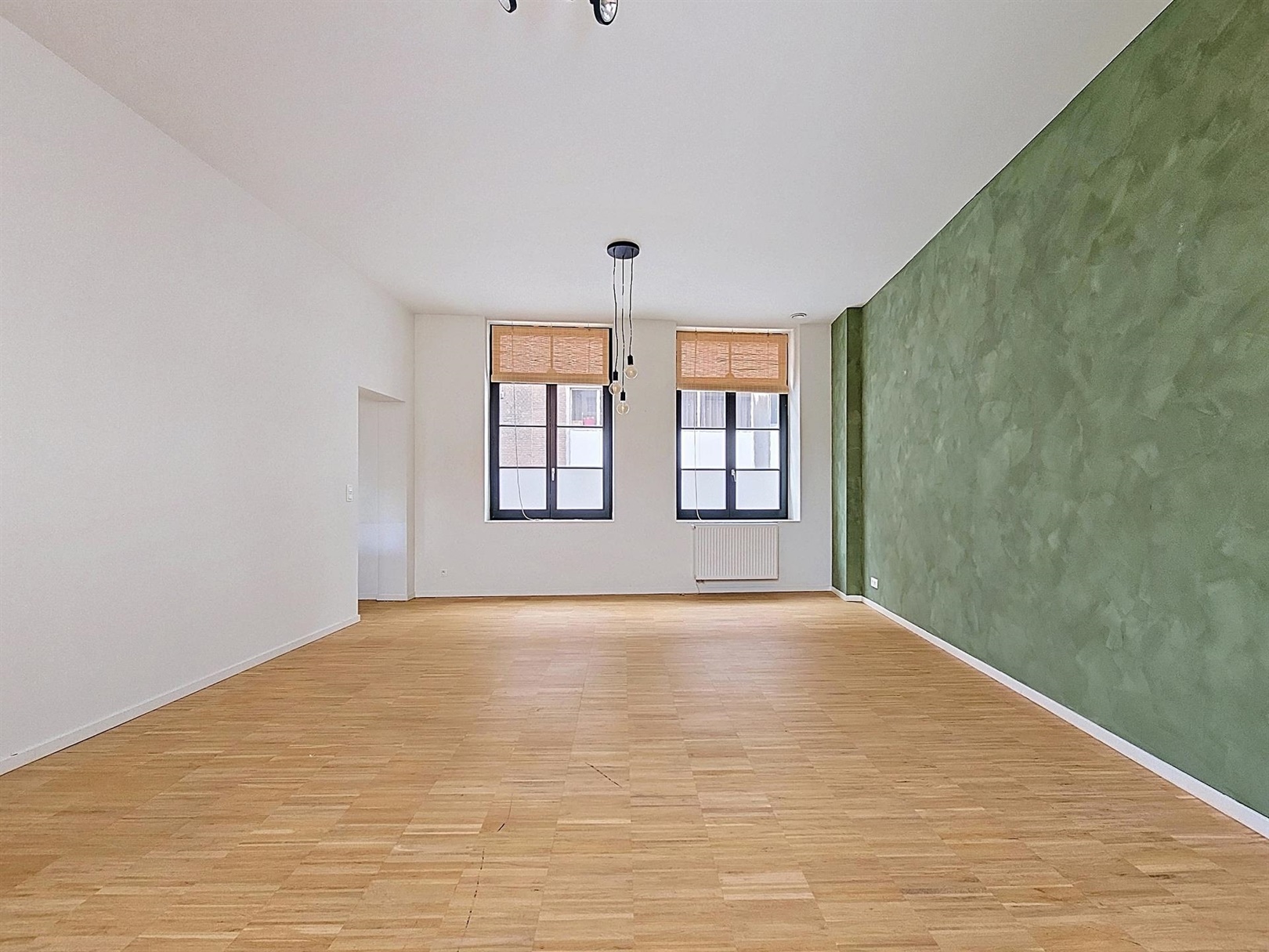 Ruim appartement met uitzonderlijk rustige ligging in hartje Gent - foto 3