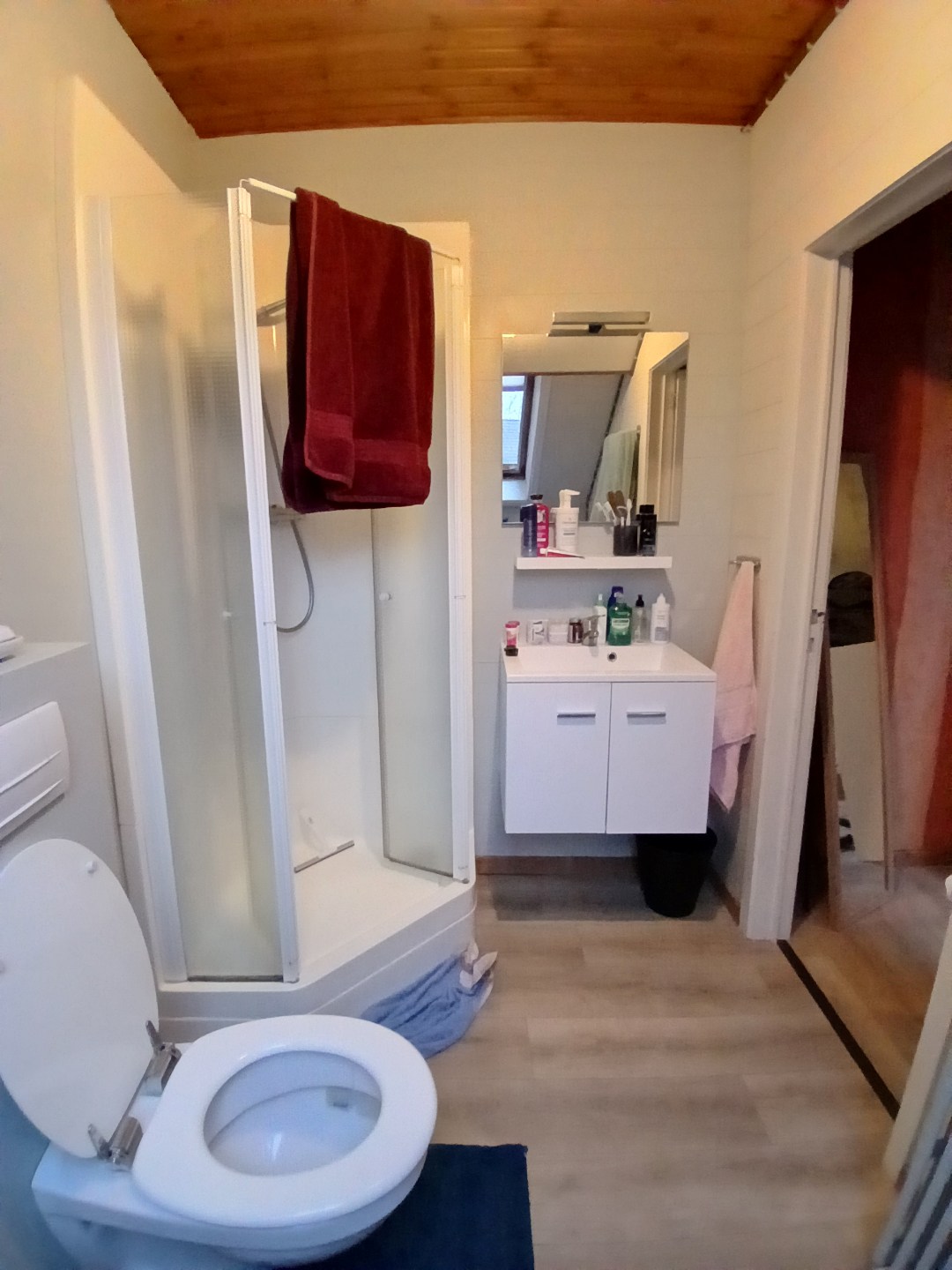 Gezellig appartement nabij Sint-Pieterstation - foto 5