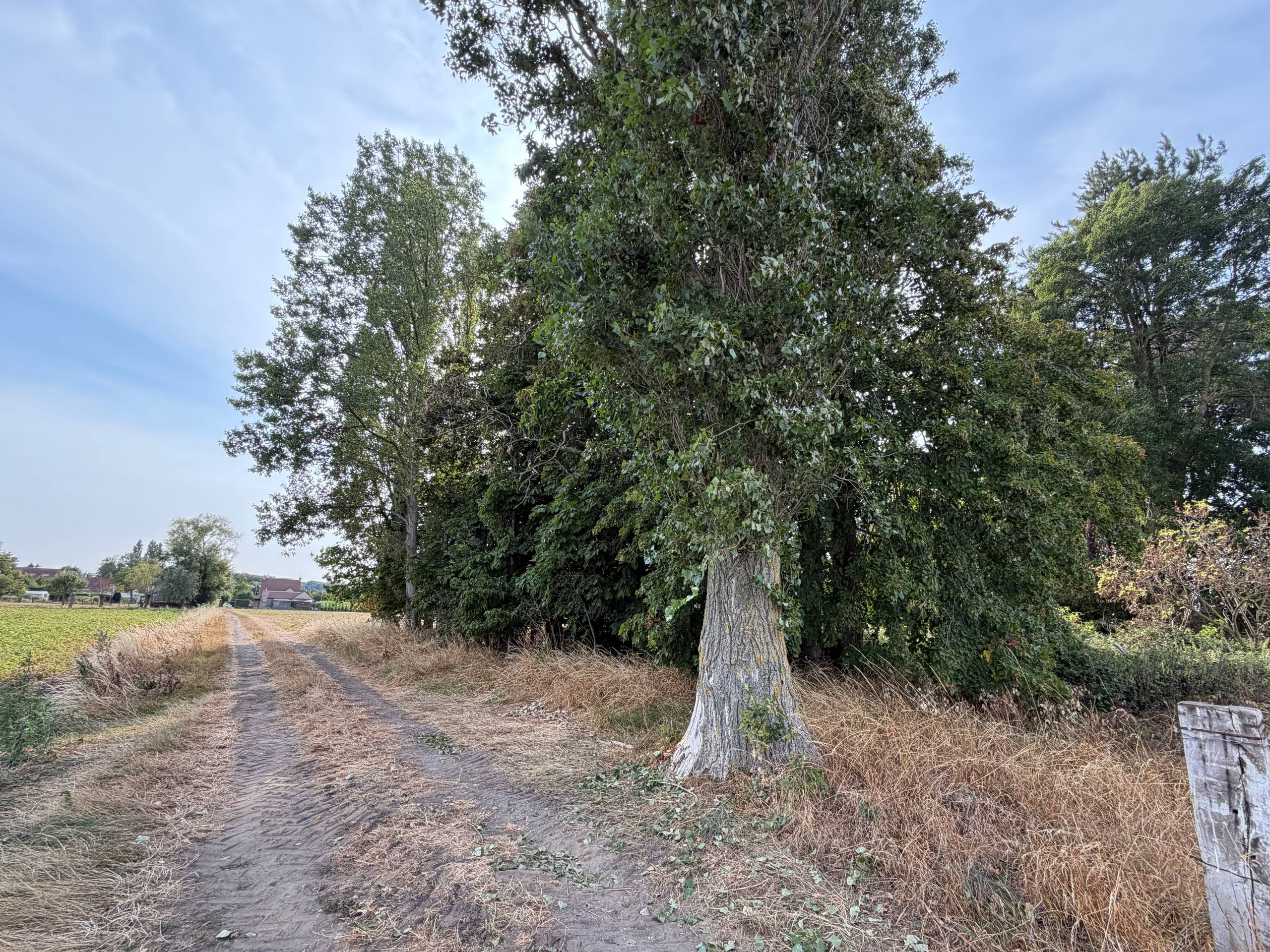 Land for sale in Oostkamp - photo 4