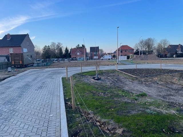 Project te koop in Waasmunster