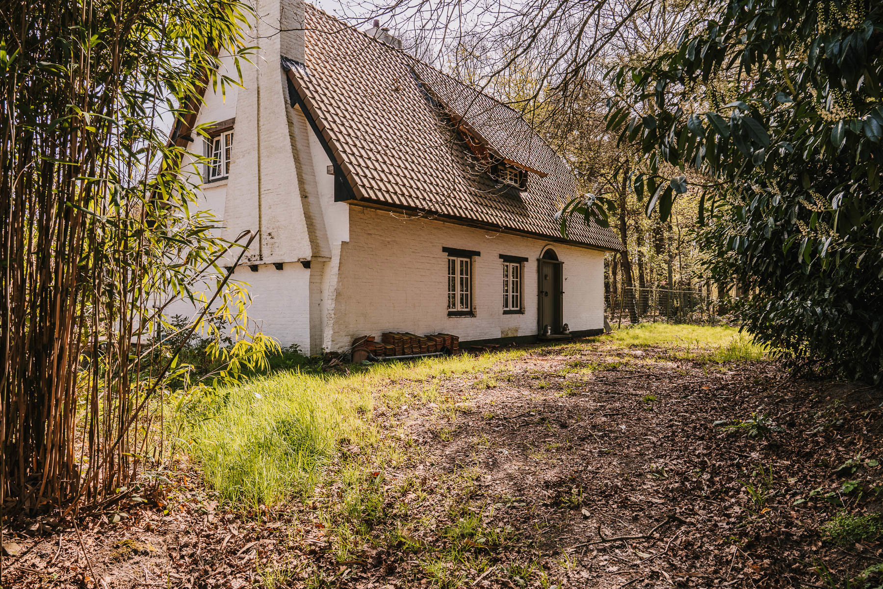 Landelijke woning op een uniek perceel van 20.000 m2 - foto 5