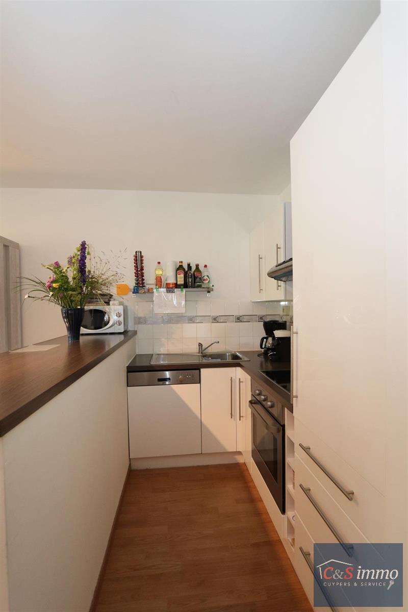 Goed en rustig gelegen appartement met terras op loopafstand van de winkels en het park - foto 4
