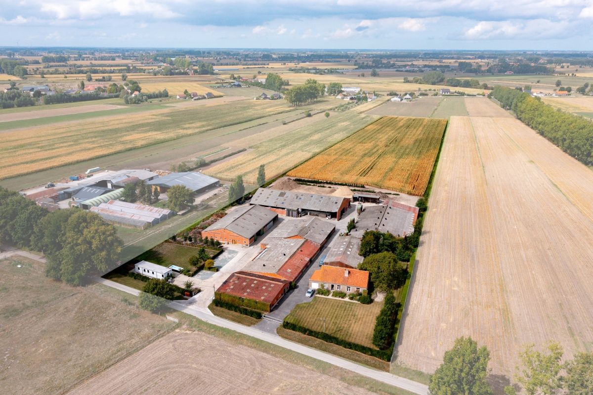 Hoeve op 4,13 ha te koop te Kaprijke - foto 2