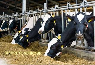 DISCRETE VERKOOP<br />Rendabele hoeve met thuisverwerking eigen hoevemelk, ijssalon en speeltuin te koop gelegen langs fietsroute omgeving Damme.<br />Meer info ten kantore.