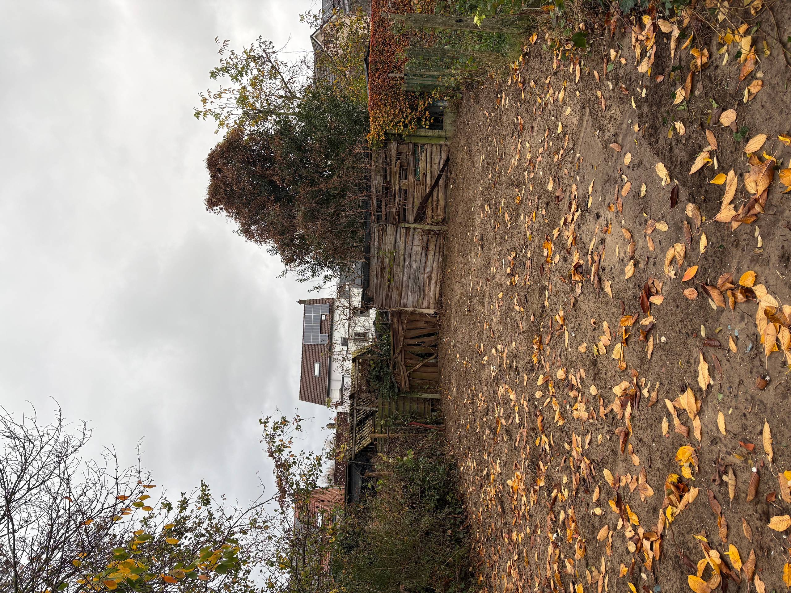 Mooie bouwgrond te koop in Leuven Wijgmaal. - foto 5