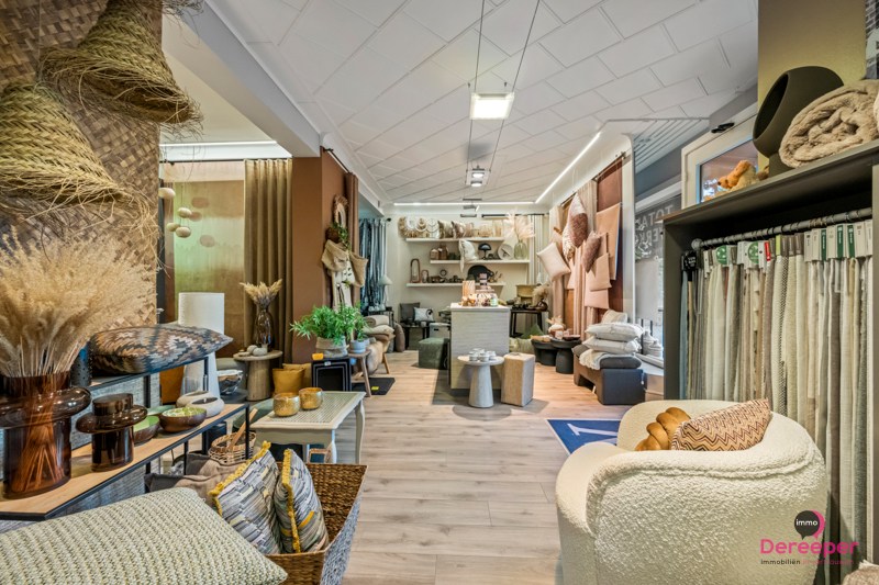 Maison à vendre à Jabbeke avec 4 chambres - photo 5