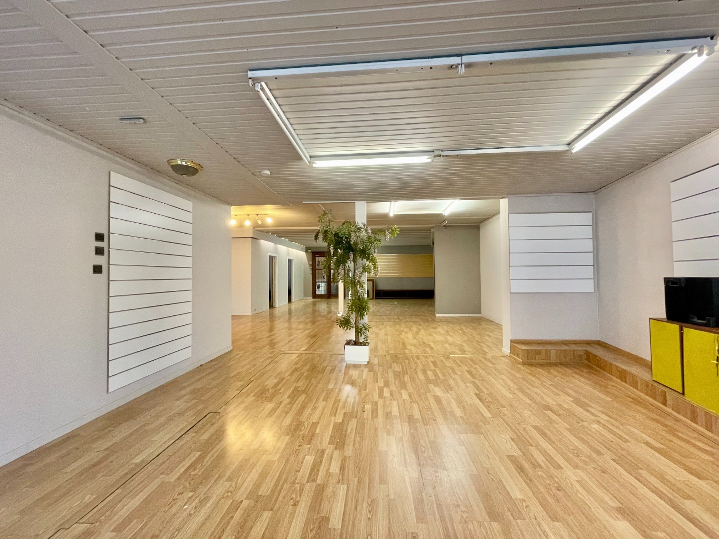 Te koop, Veelzijdig handelspand met ruim appartement op topligging te Eine! - foto 3