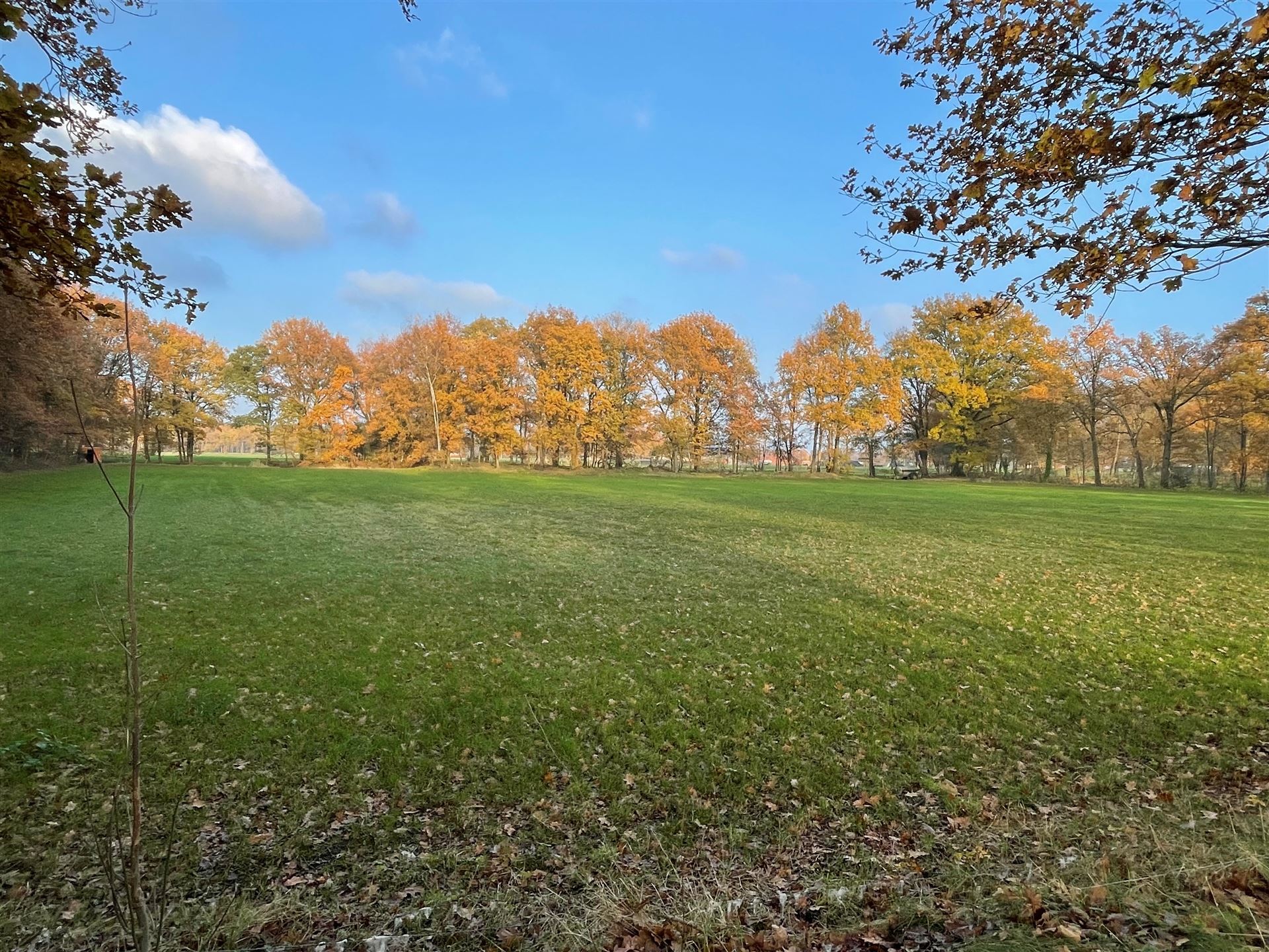 Mooi en rustig gelegen weiland in agrarisch waardevol gebied met een grondoppervlakte van 9.114 m². De grond is huidig verpacht (433,30 €/jaar).