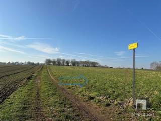 Terrain à vendre à Diest