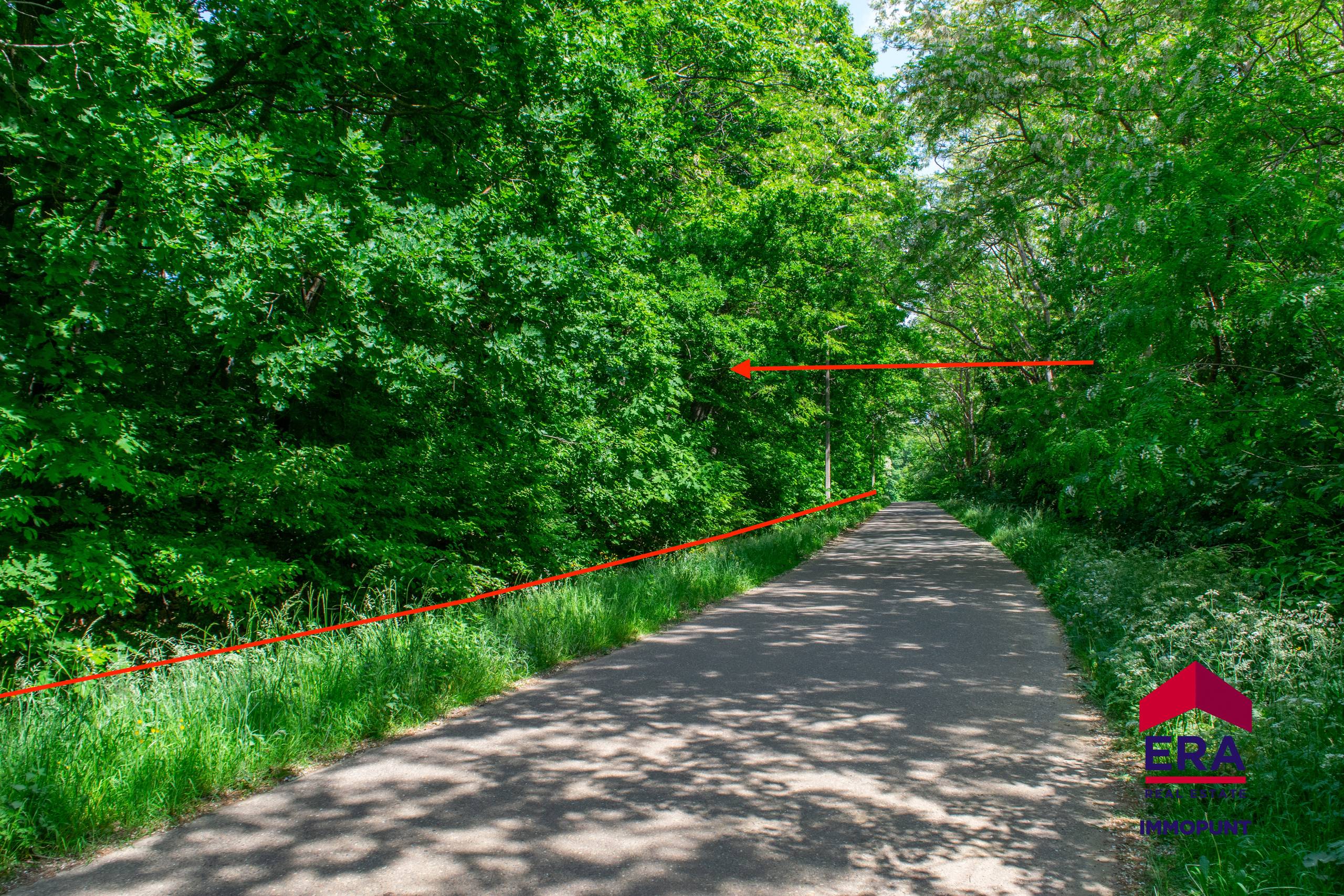 Bosgrond te koop op residentiële locatie Tielt Winge 2,7 Ha - foto 4