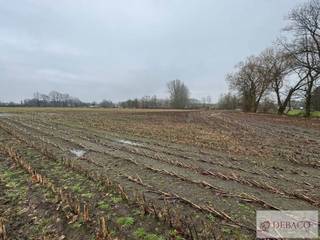 Goed gelegen landbouwgrond met opp van 12.630m² te Putte!Deze landbouwgrond is vrij van pacht!De landbouwgrond is makkelijk te bereiken en is gelegen...