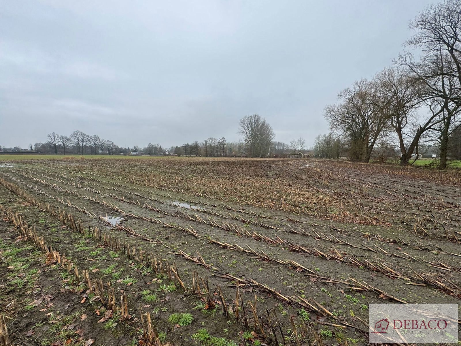 Goed gelegen landbouwgrond met opp van 12.630m² te Putte! - foto 2