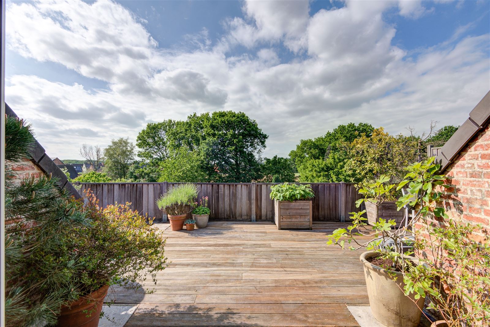 Ruim duplex appartement met groot dakterras en garagebox - foto 4