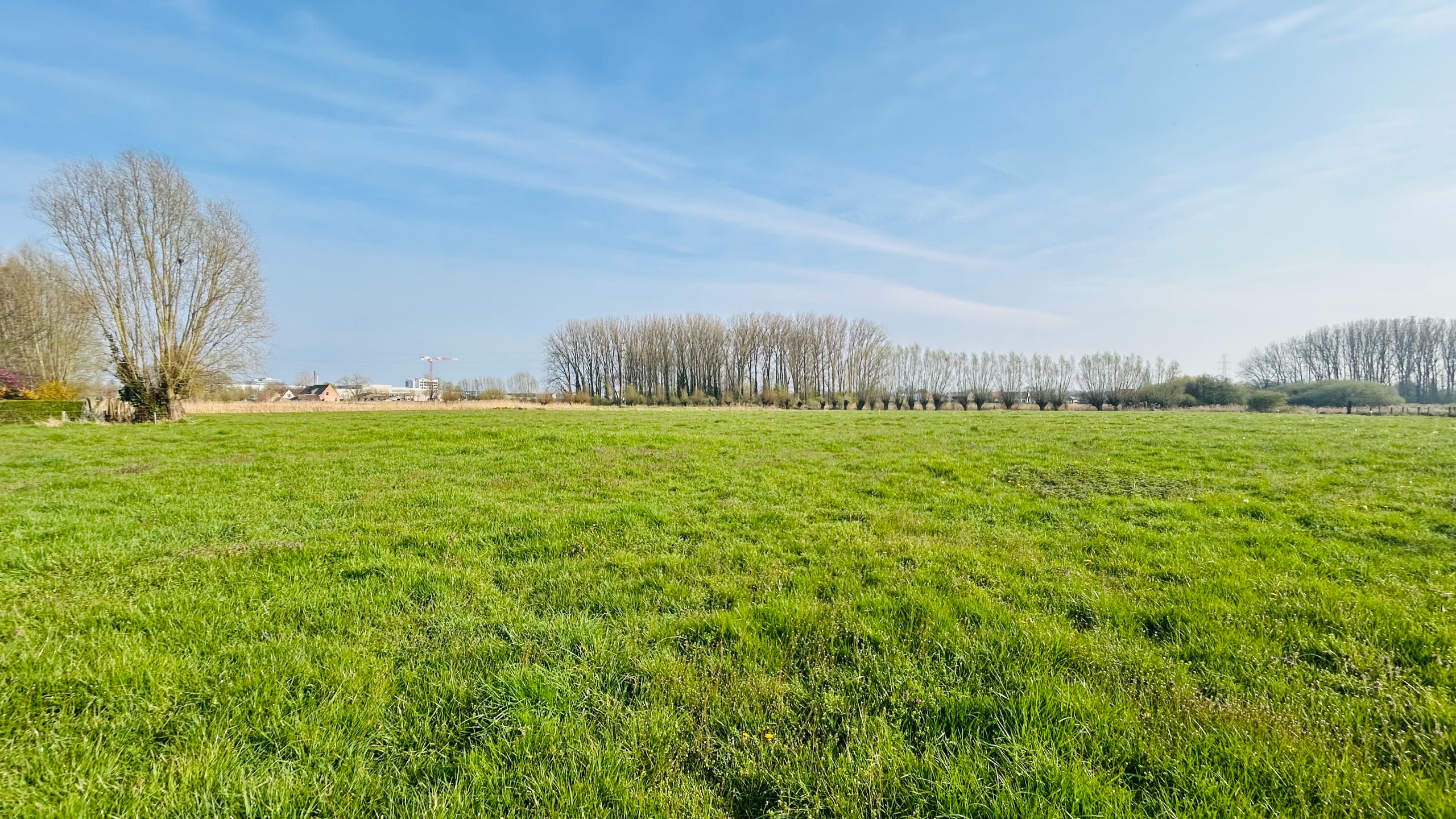 Prachtig gelegen stuk grond van 14.895 te Deerlijk - foto 3