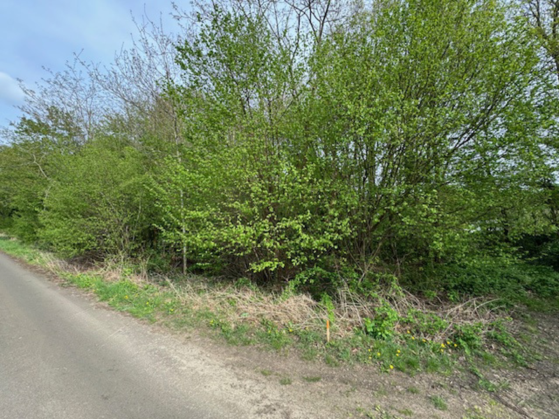 Bouwgrond voor open bebouwing (79 meter straatbreedte) - foto 1