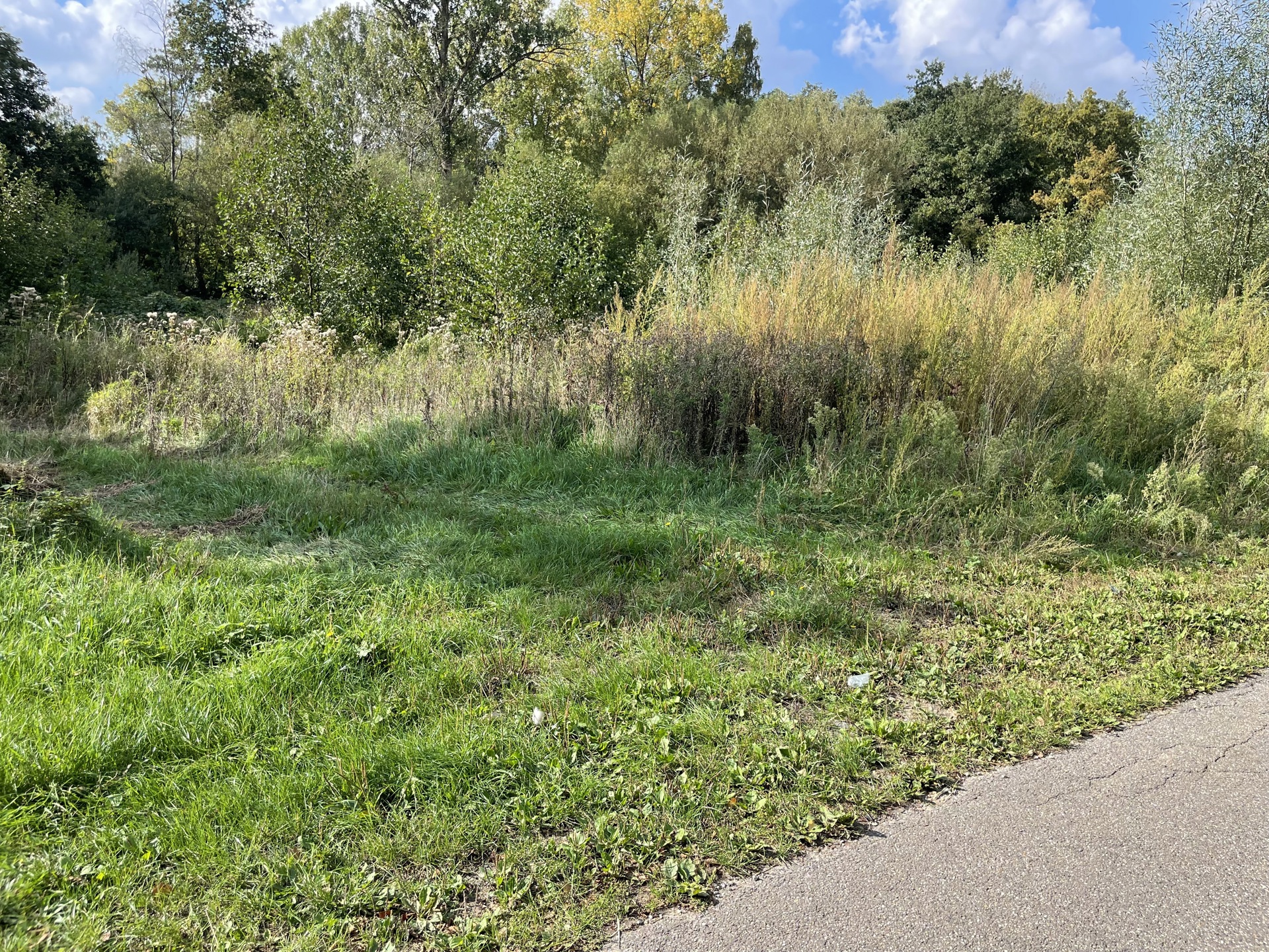 Terrain à vendre à Houthalen-Helchteren - photo 3