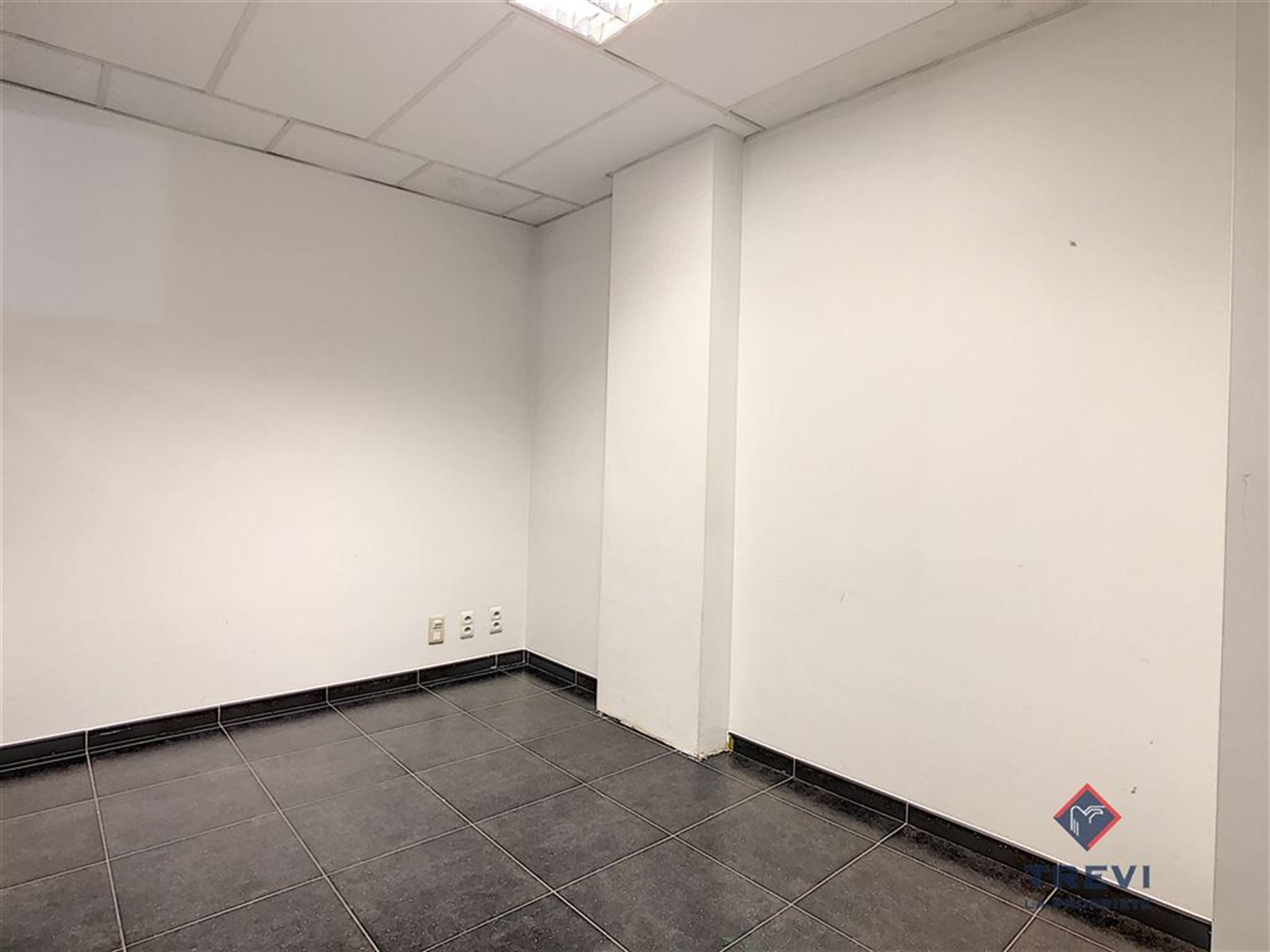 Bureaux au rez de chaussée, avec cave et garage - photo 2