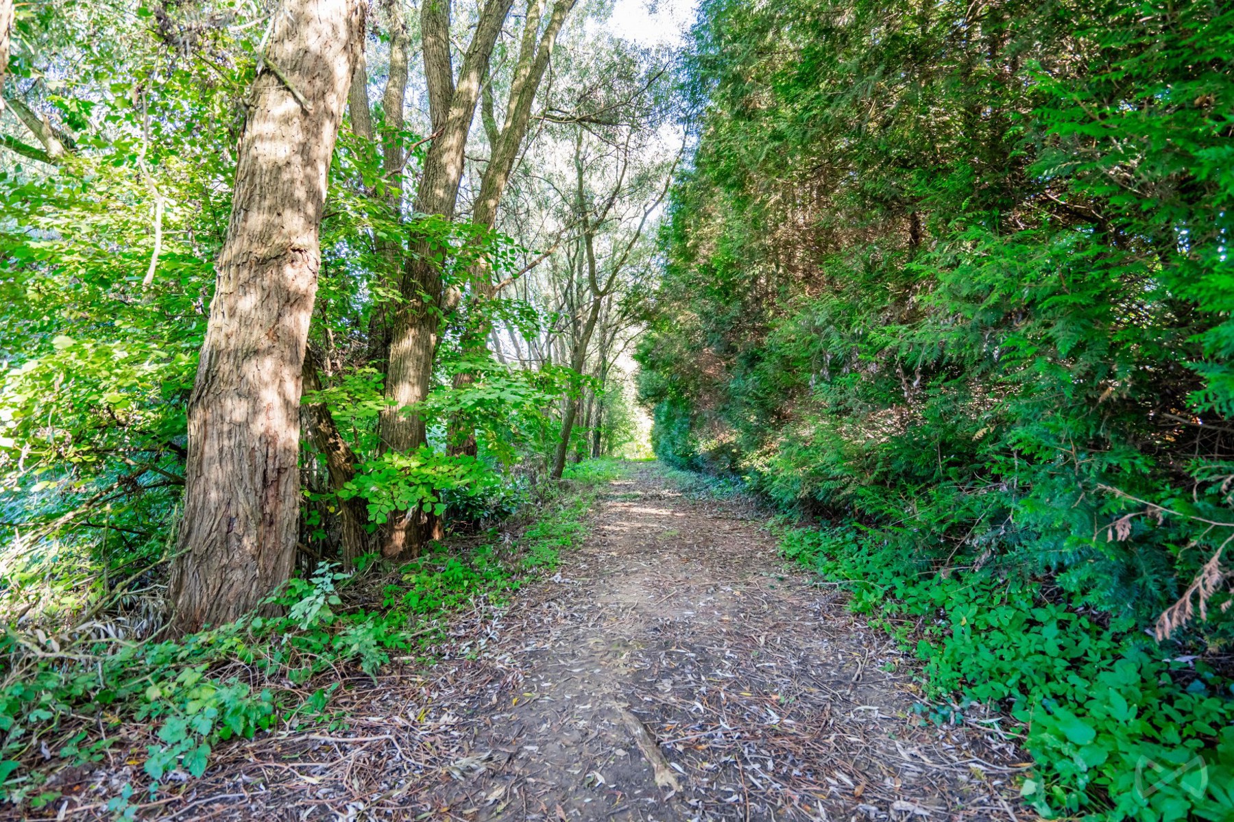 Terrain à bâtir - foto 5