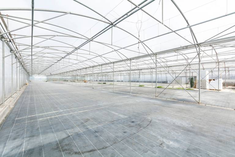 Welgelegen serrecomplex, ideaal voor agrarische activiteiten - foto 16