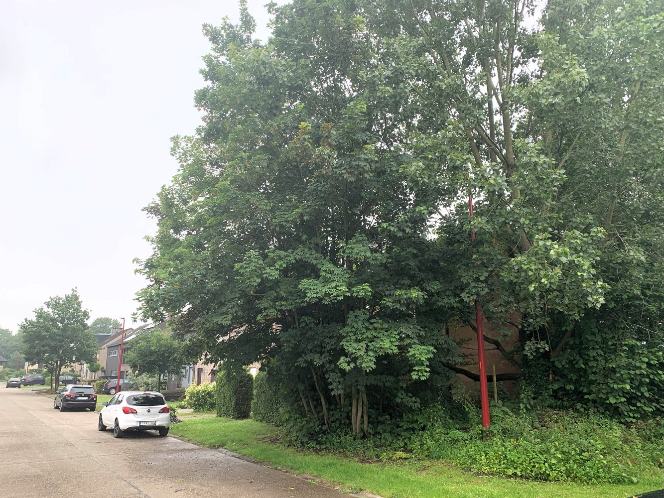 Terrain à vendre à Lint - photo 1