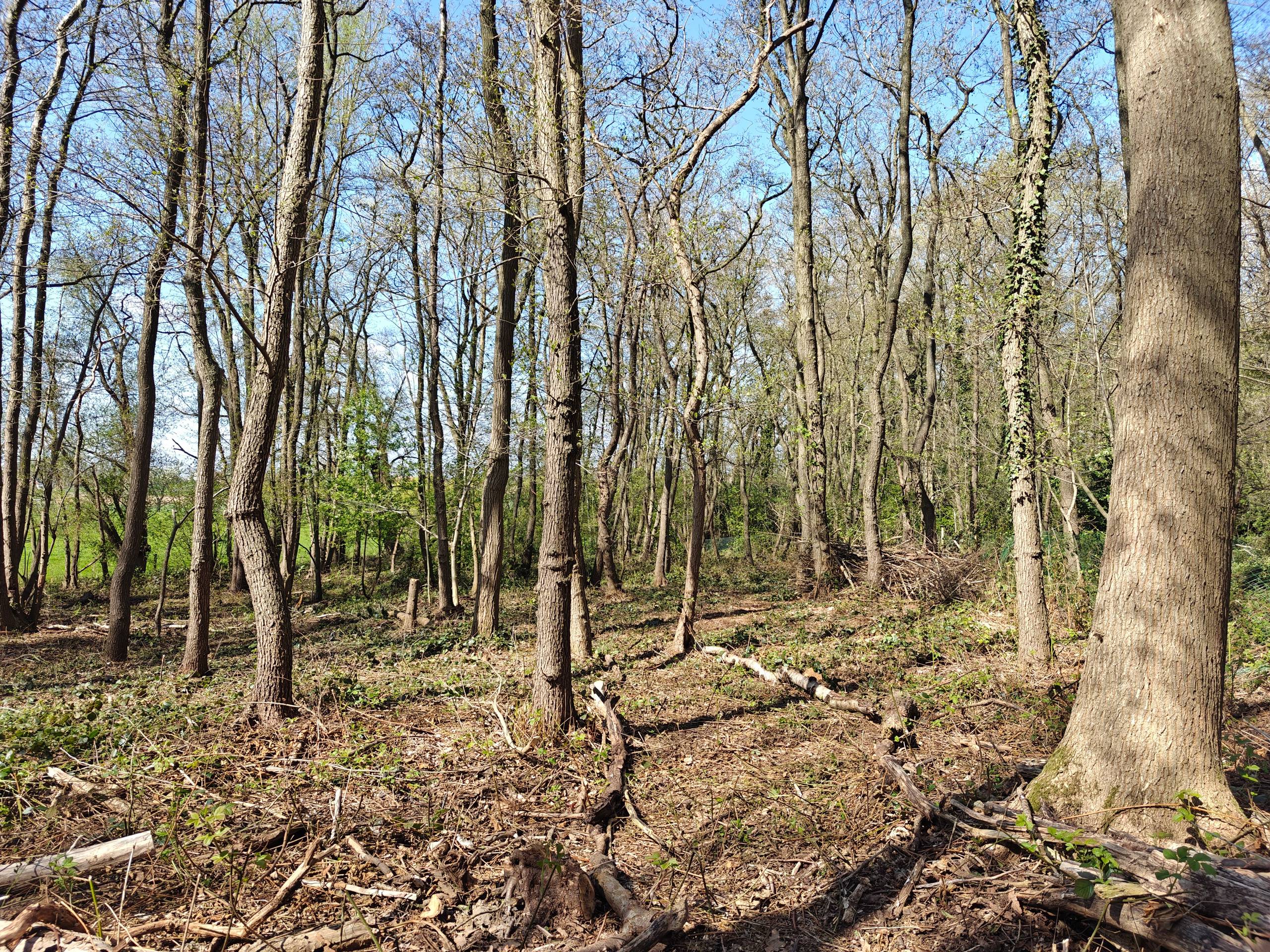 Terrain à vendre à Zonnebeke - photo 4