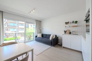Lichtrijke studio met slaaphoek en terras te koop, gelegen op de eerste verdieping van de jonge en goed onderhouden Residentie Hermitage...