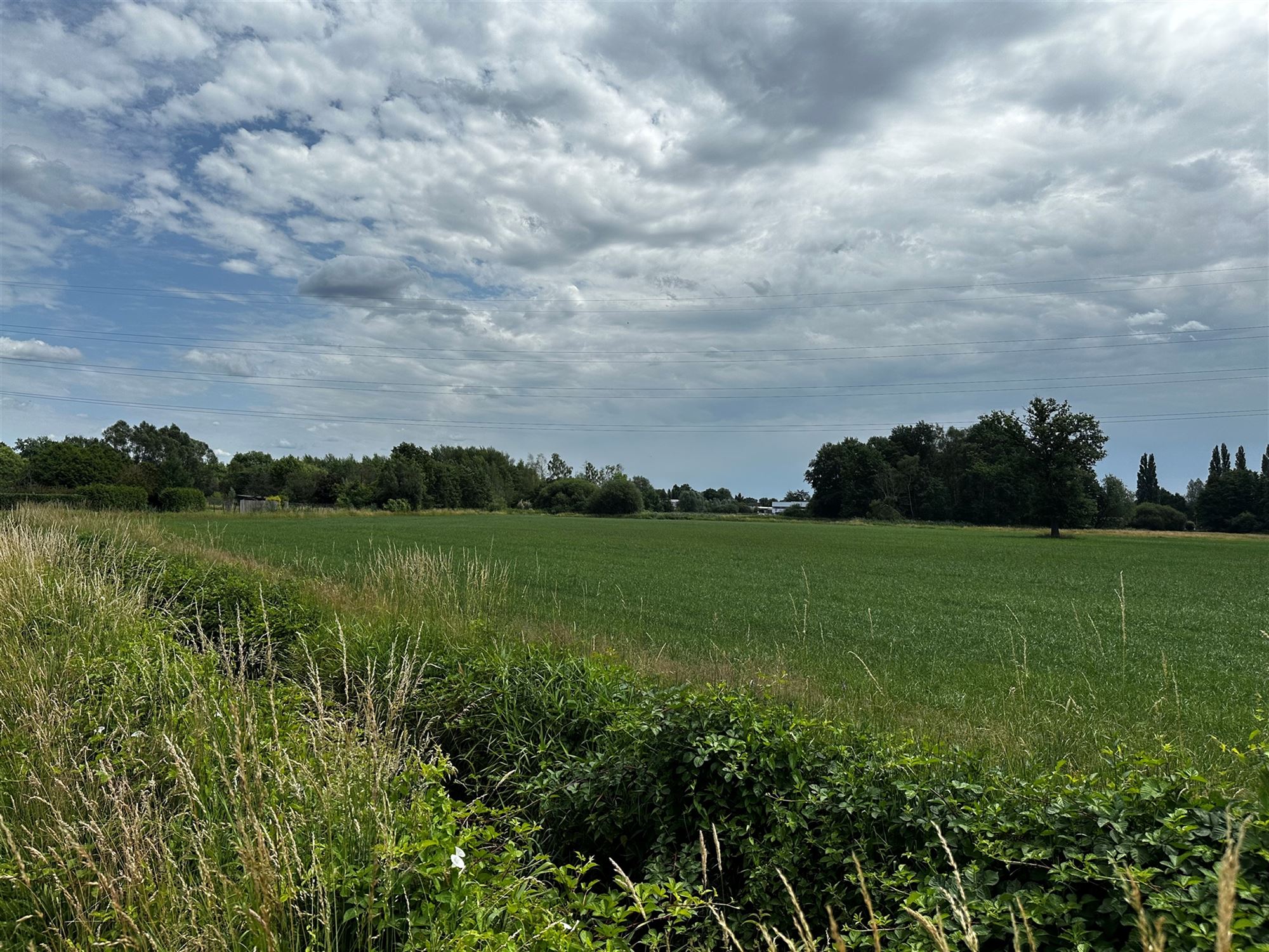 Terrain à vendre à Beringen - photo 3