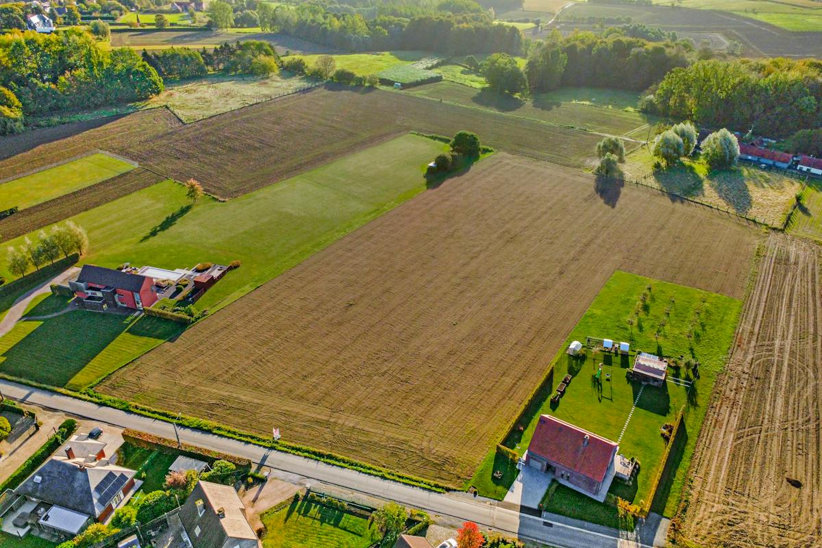 Perceel grond van 5.032 m² gelegen in Ellezelles - foto 3