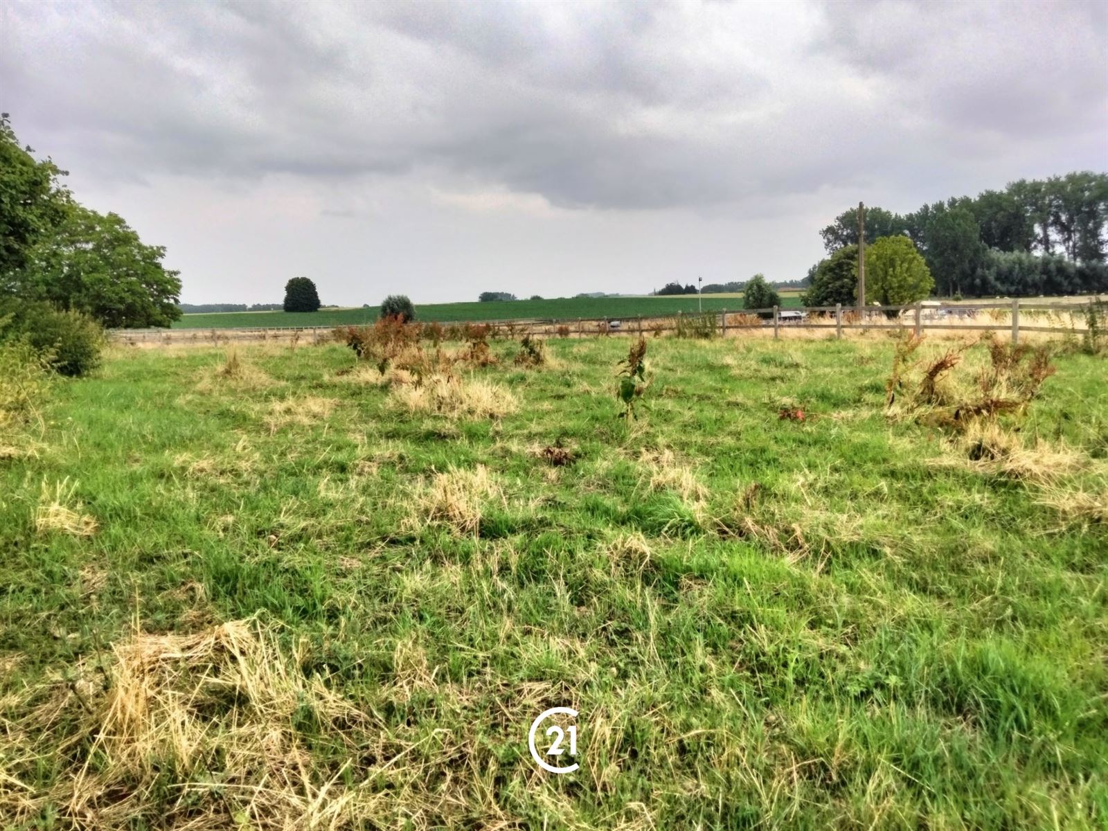 Bouwgrond open bebouwing op 15are12ca in het landelijke Tollembeek - foto 4