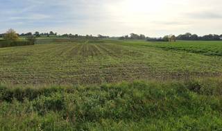 Ontdek deze ruime bouwgronden in de Weldenstraat te Oudenaarde, een toplocatie in een rustige en groene omgeving. De twee percelen, met...