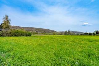 Terre agricole actuellement exploitée en pâture d'une contenance totale de 3 ha 70a accessible par un chemin au départ de la rue Alphonse...