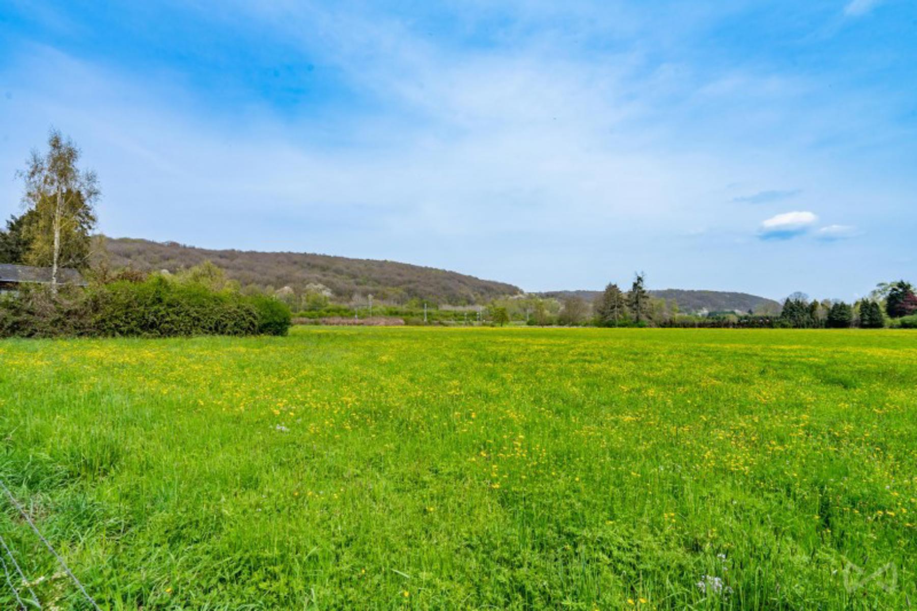 Land for sale in Wanze - photo 3