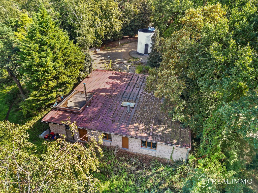 DE TOREN - Iconische horecazaak midden in het Kluisbos - foto 4