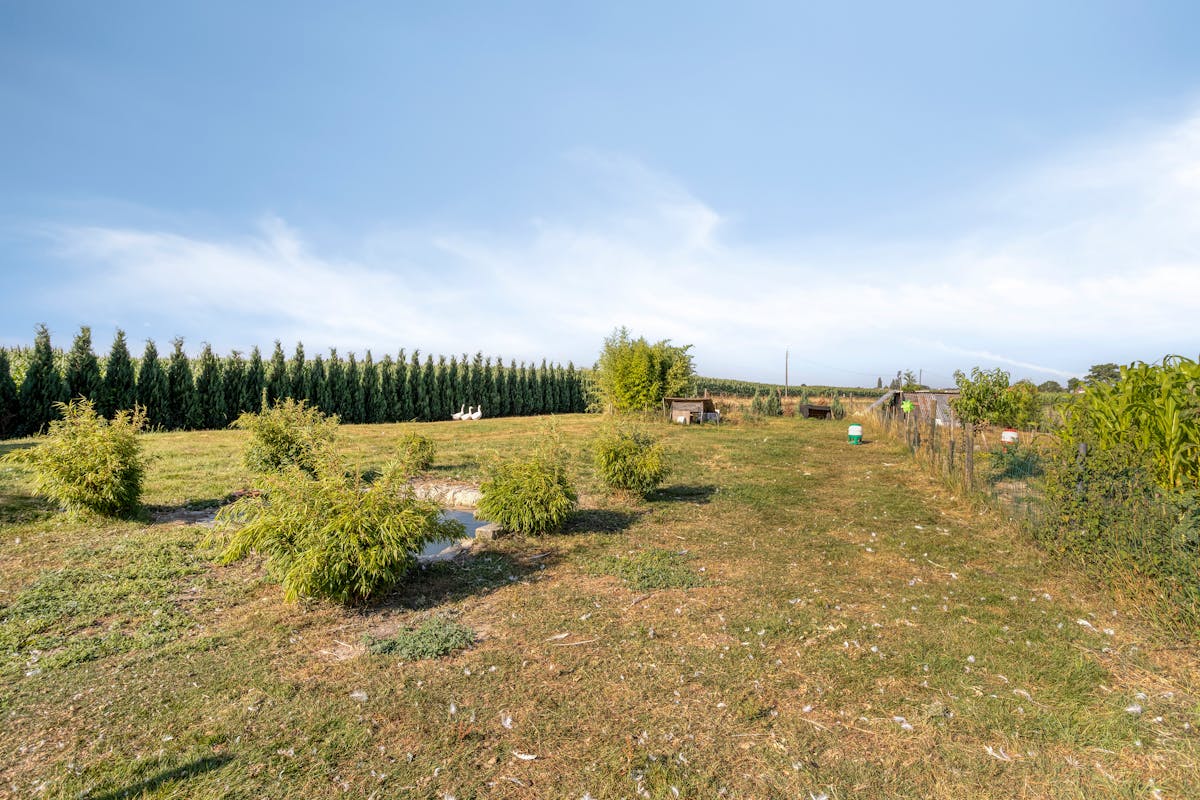 Landgebouw te koop, wonen niet mogelijk! - foto 4