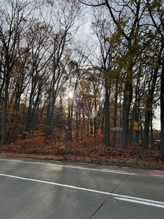 TE KOOP : PERCEEL BOSGROND te Herselt Deze 2 percelen bosgrond, naast elkaar liggend aan de Provinciebaan te Herselt zijn zeer goed bereikbaar...