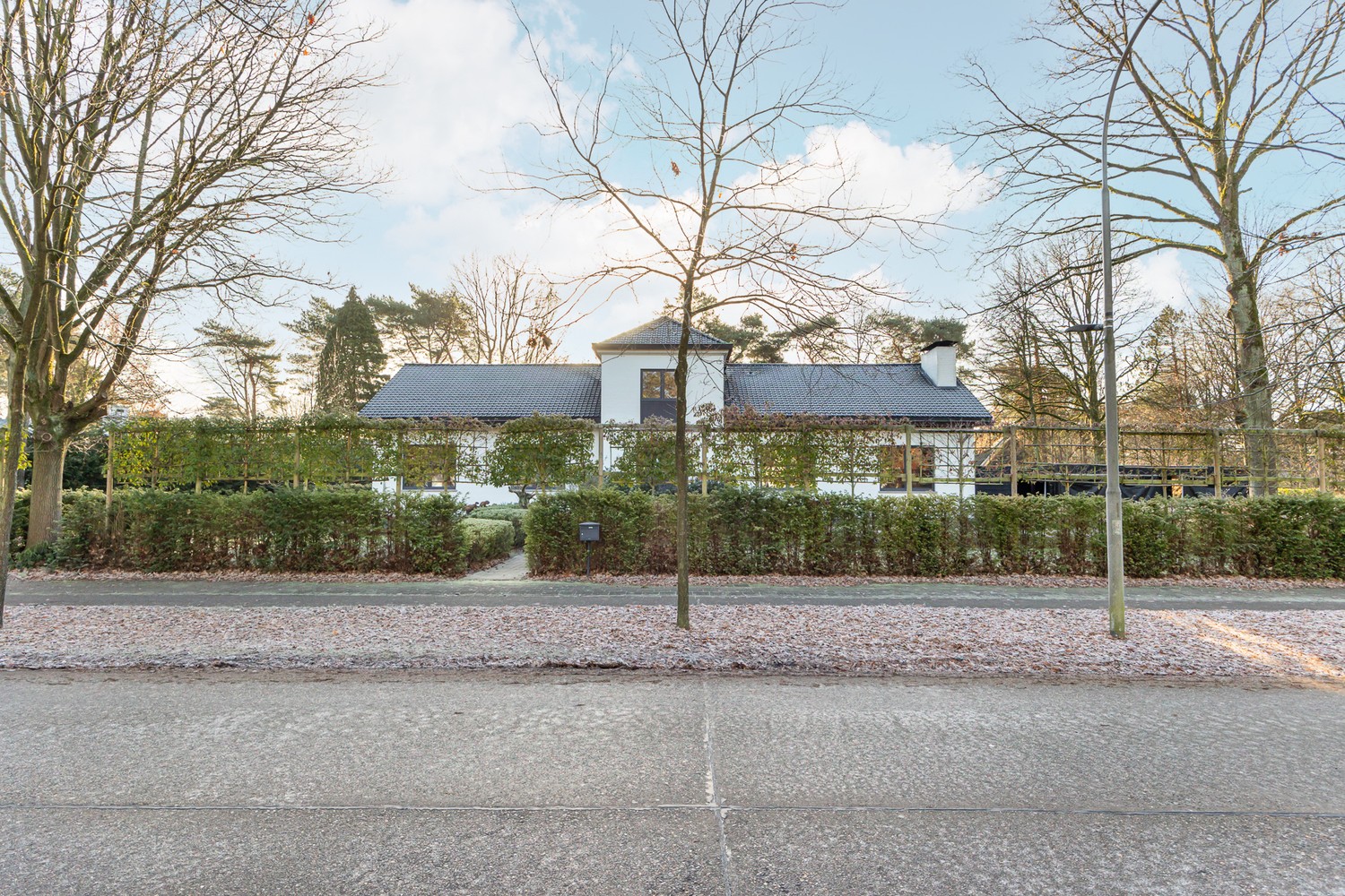 Exclusieve, recente villa met zwembad, drie volledig aparte wooneenheden en tal van extra troeven in het geliefde Vriesdonk. - foto 2