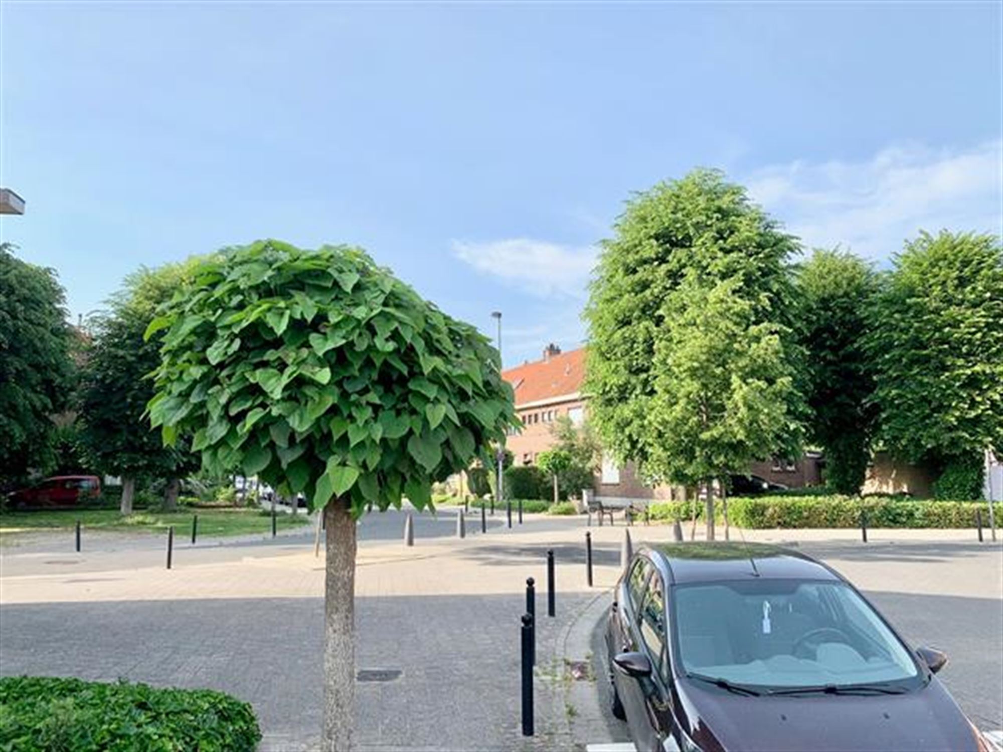 Uniek Pand van 385 m² met Onbeperkte Mogelijkheden - foto 4